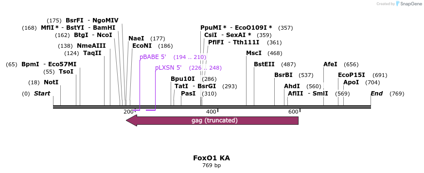 153706_map