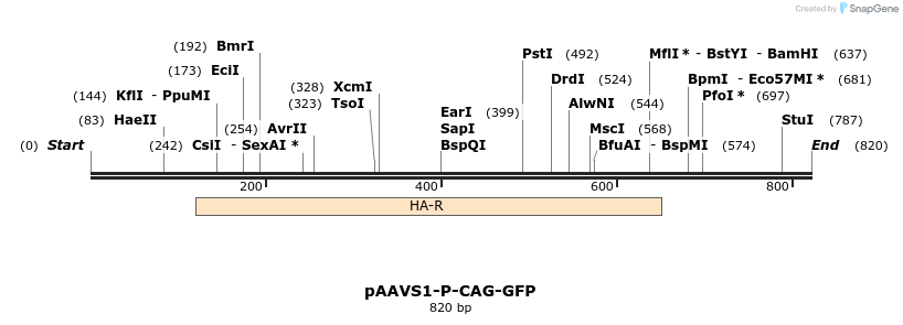 153707_map