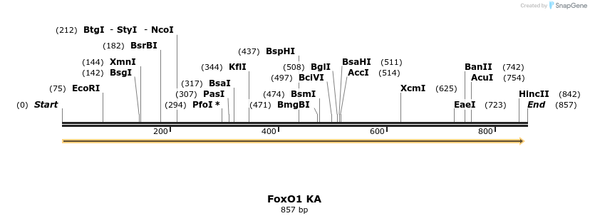 153709_map