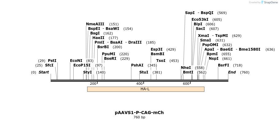 153712_map