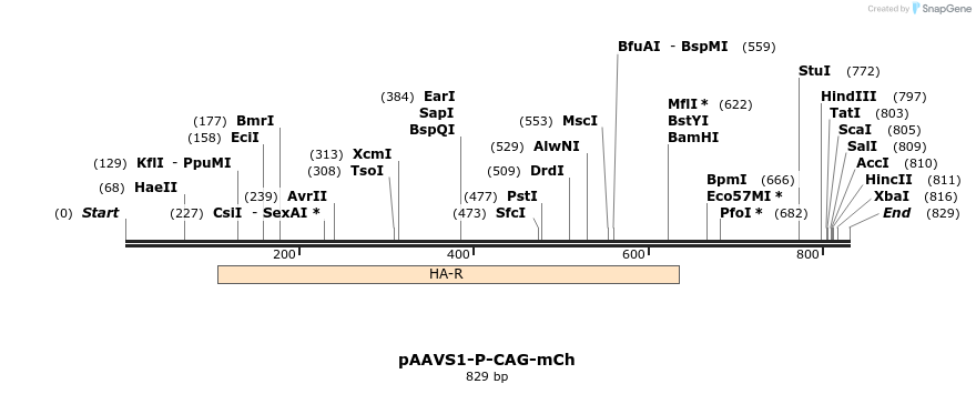 153713_map