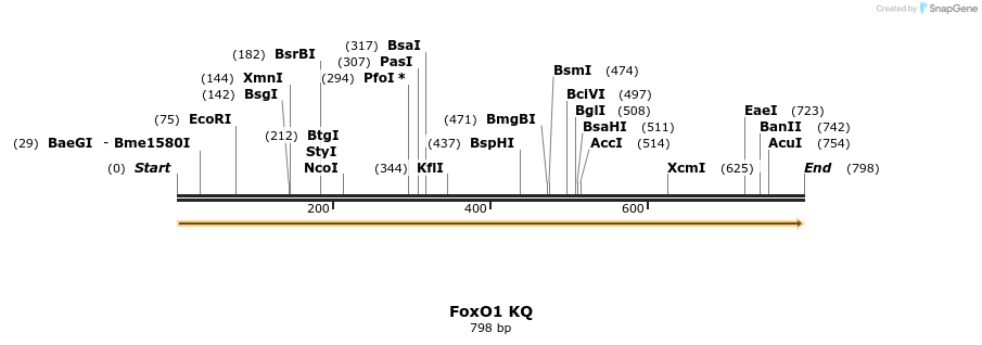 153716_map