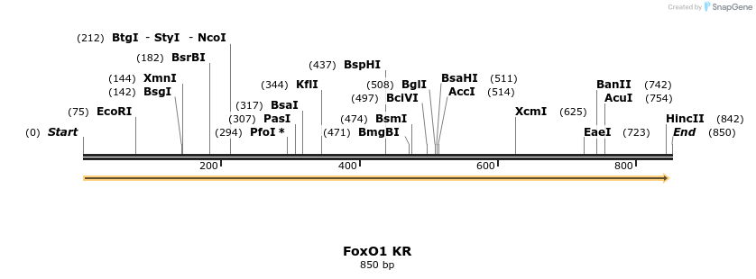 153719_map