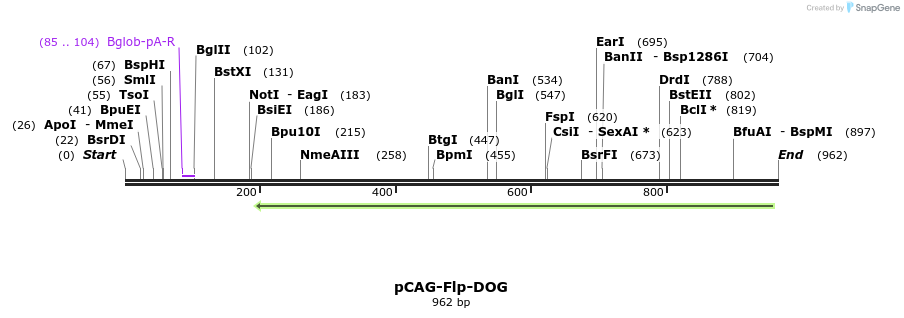 153723_map