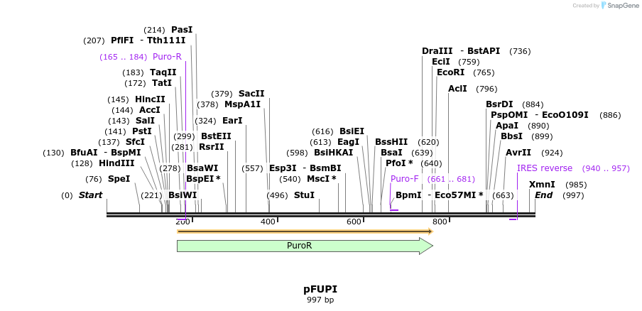 153727_map