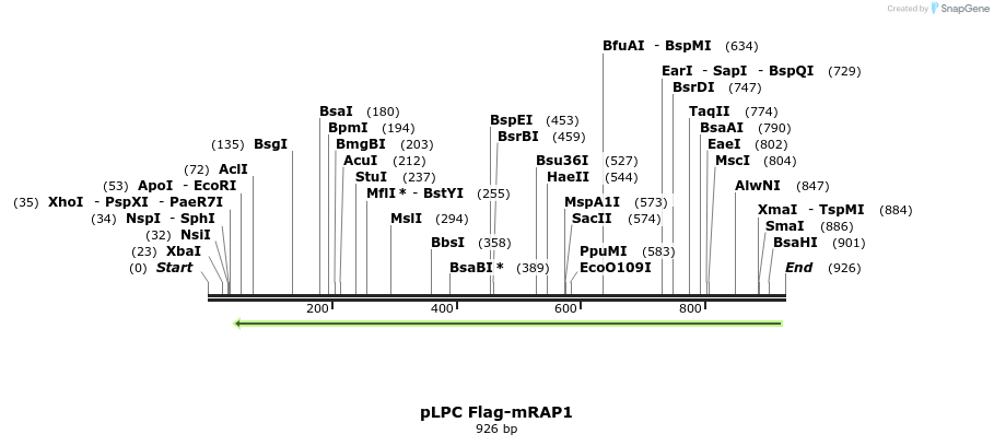 153742_map