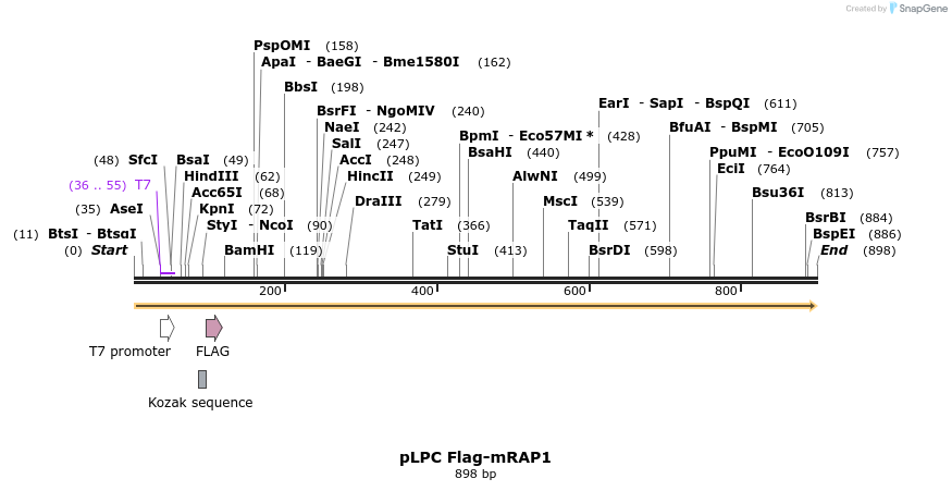 153743_map