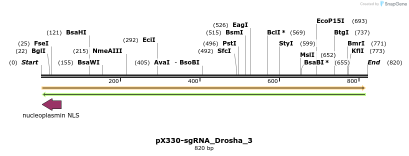 153745_map