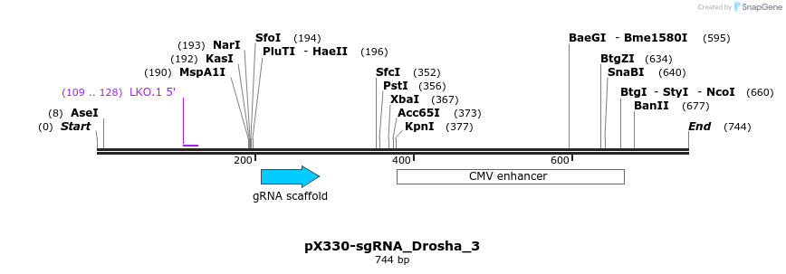 153747_map