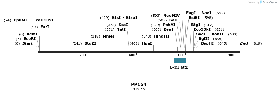 153751_map
