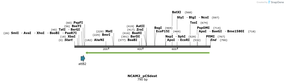 153767_map