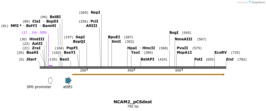 153768_map