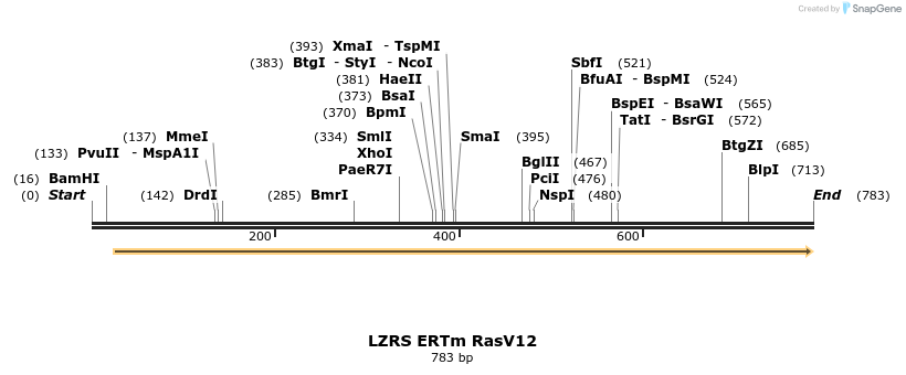 153780_map