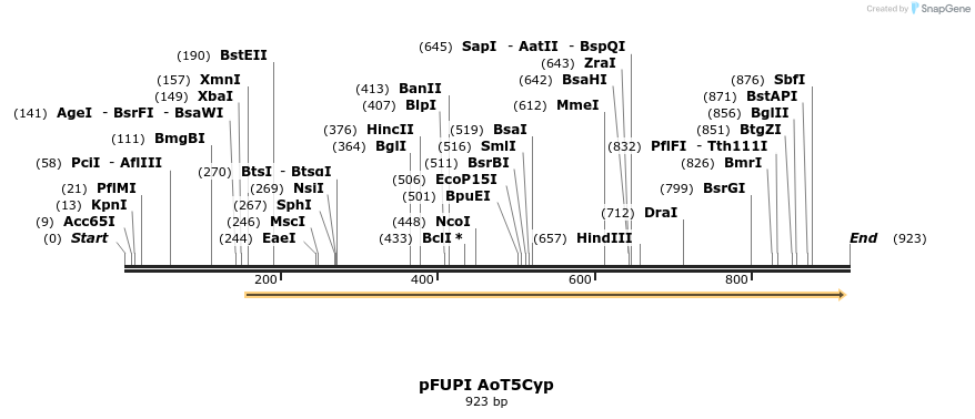 153781_map