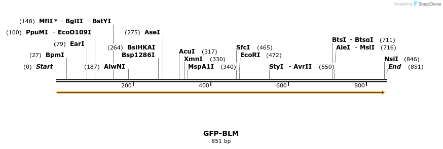 153784_map