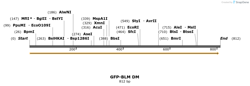 153787_map