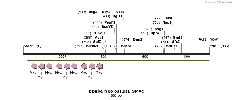 153792_map