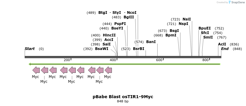 153796_map