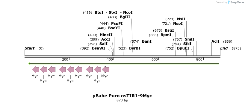 153797_map
