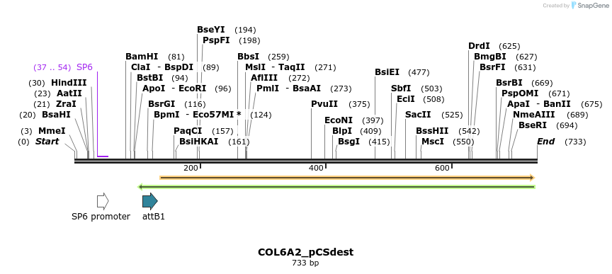 153799_map