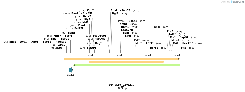 153800_map