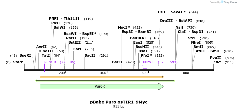 153801_map