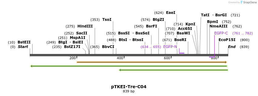 153806_map