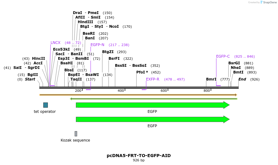 153807_map