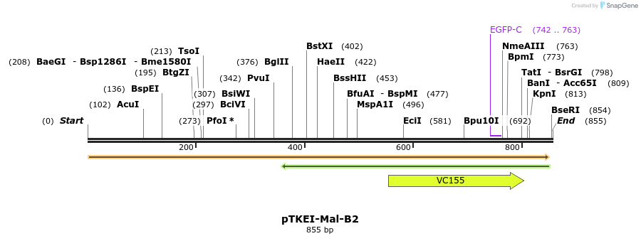 153809_map