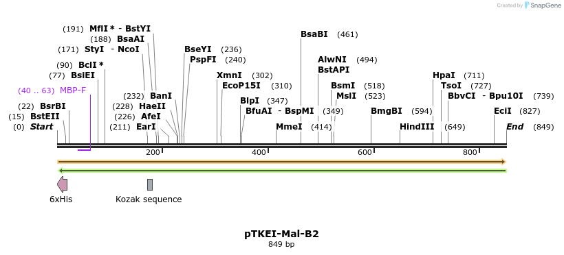 153812_map