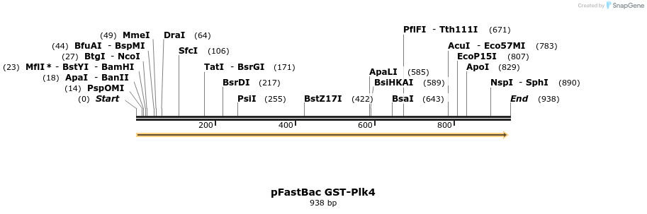 153815_map