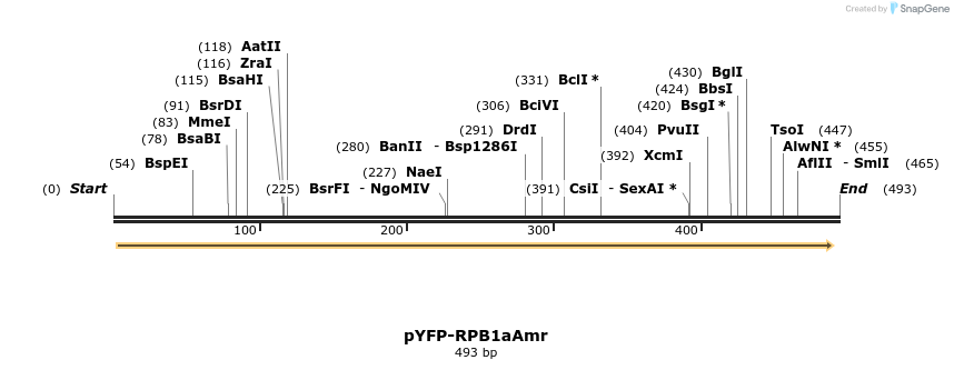 153822_map