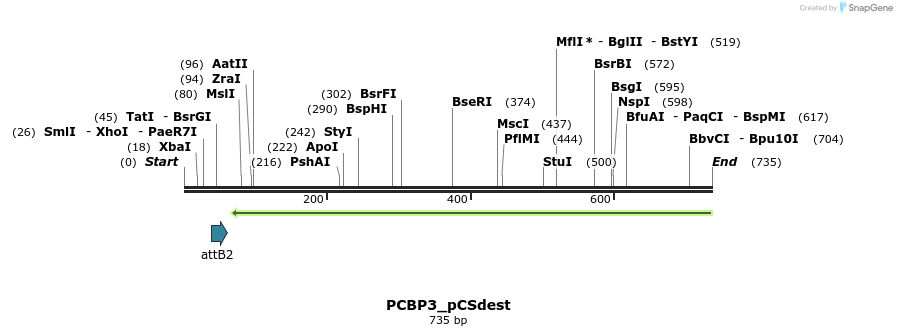 153831_map