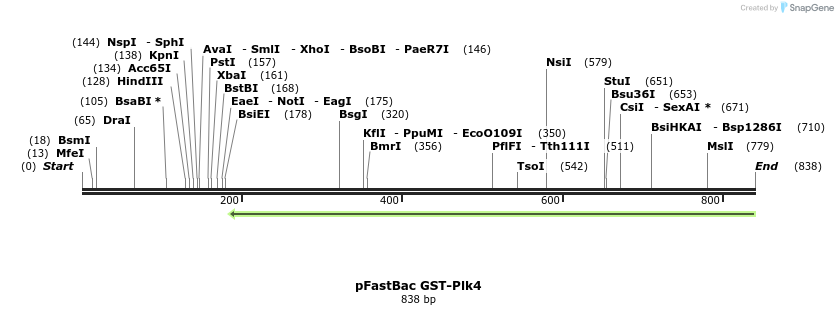 153832_map