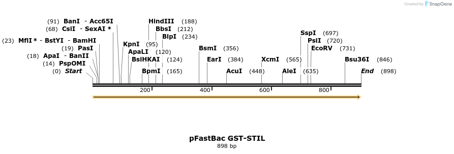 153834_map