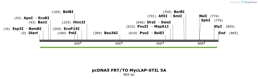 153837_map
