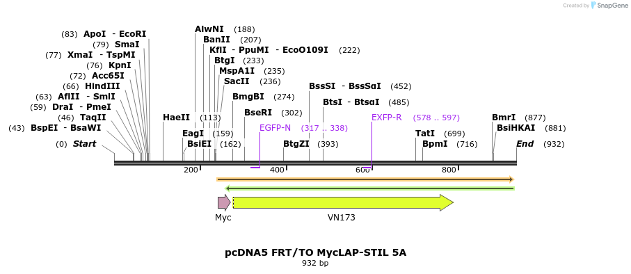 153839_map