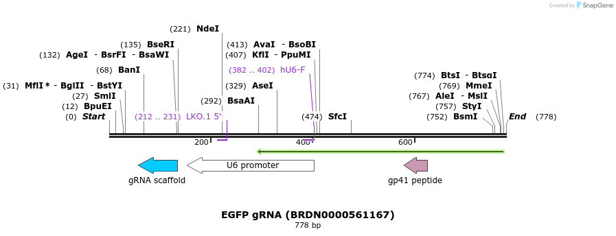 153867_map