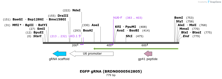 153869_map