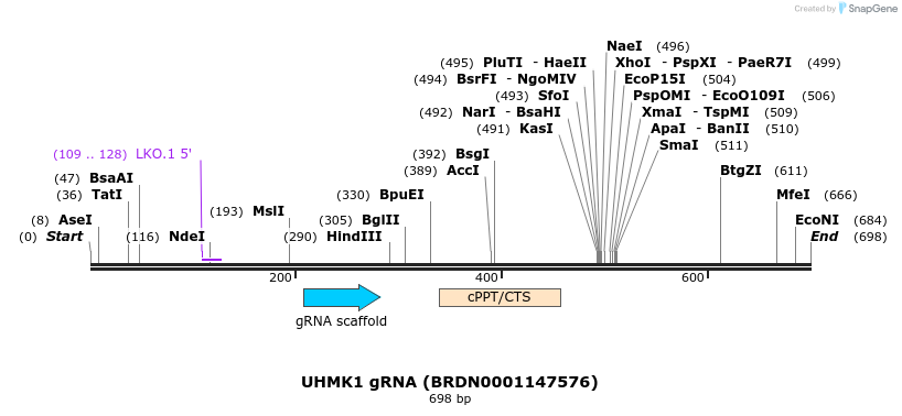 153872_map