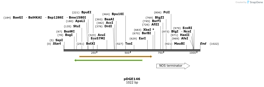 153875_map
