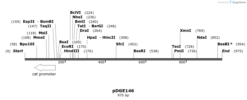 153876_map