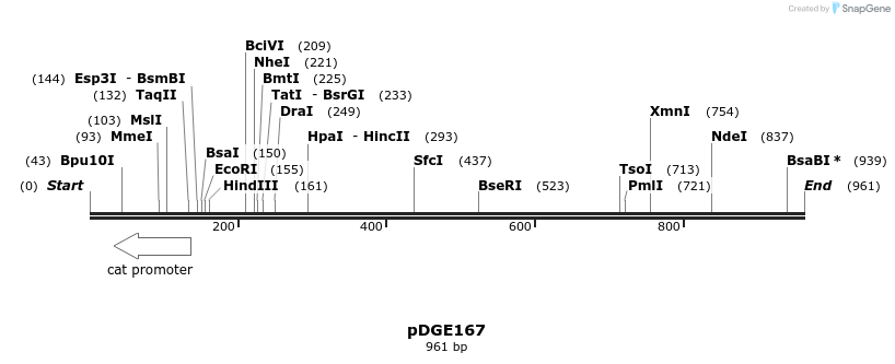 153879_map