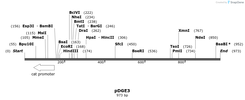 153881_map