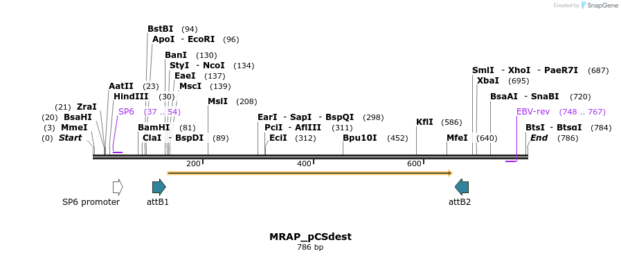 153884_map