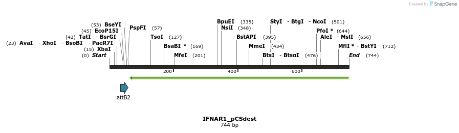 153894_map
