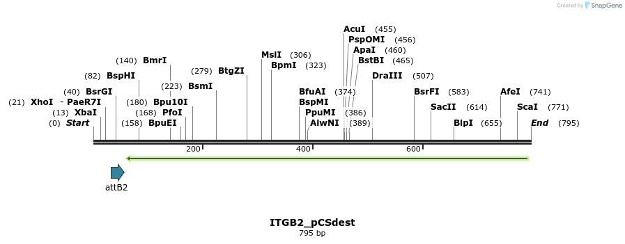 153896_map