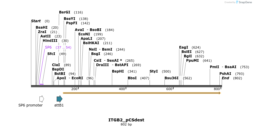 153897_map