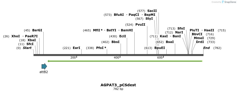 153906_map