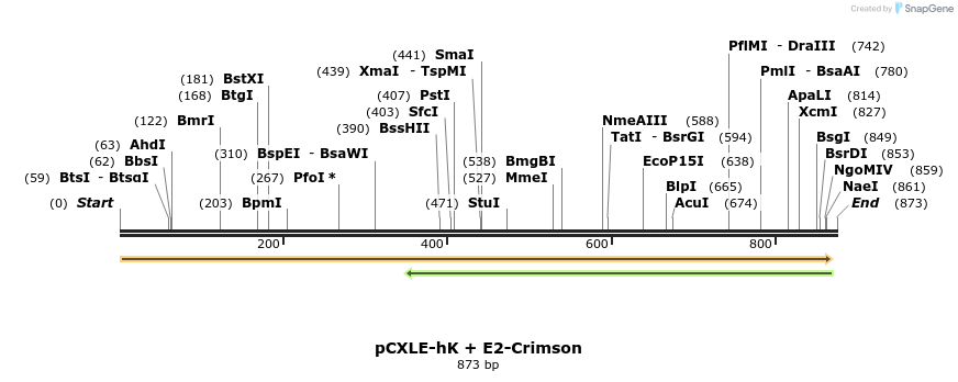 153912_map